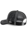 Gorra Malla Capslab Looney Tunes Wile E. Coyote