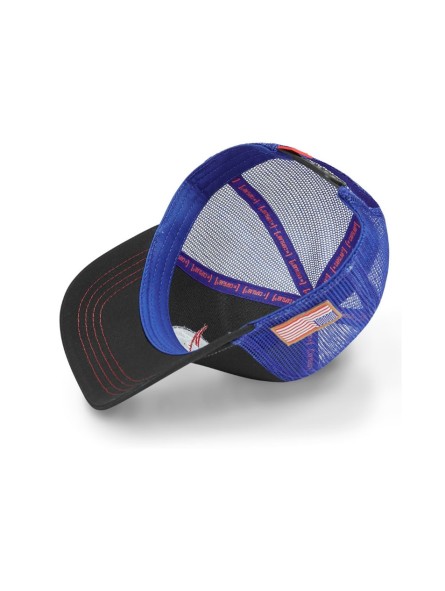 Gorra Malla Capslab Nasa