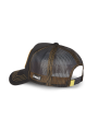 Gorra Malla Capslab Fantastic Beasts Pegasus
